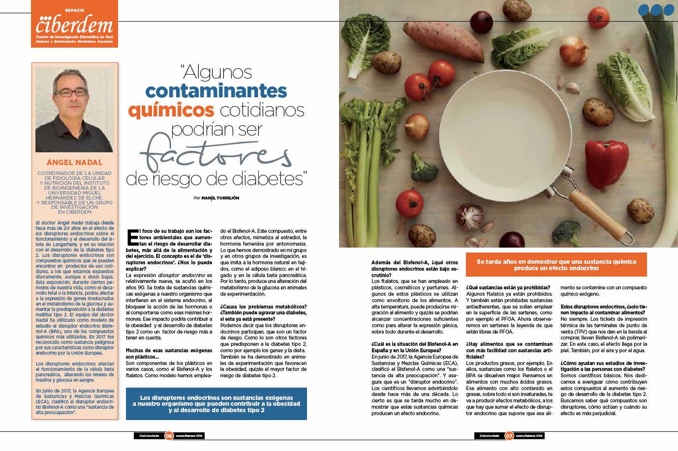 Ángel Nadal: “Algunos contaminantes químicos cotidianos podrían ser factores de riesgo de diabetes”