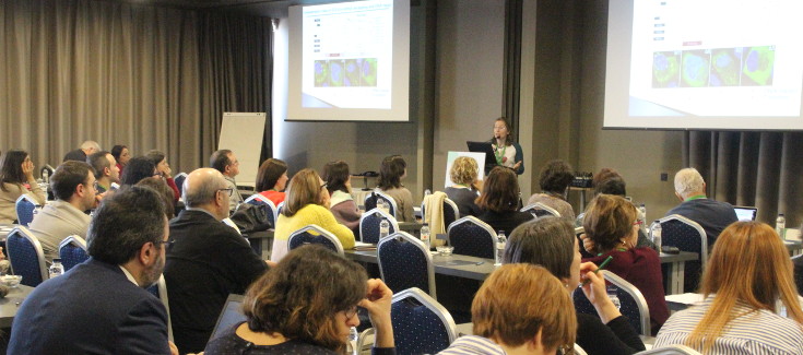 Descubren un nuevo gen llamado 'EDC4' implicado en el cáncer de mama familiar