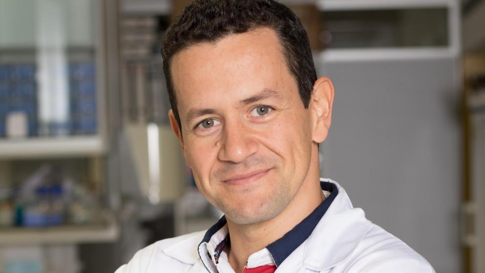 Señalan la necesidad de considerar el sueño como expresión de salud, al mismo nivel que la dieta o el ejercicio