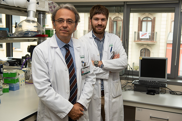 Revisan los avances en el tratamiento del cáncer de hígado