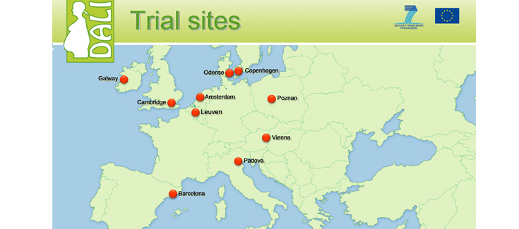 Estudio DALI: un menor tiempo en el sofá reduce la grasa en los bebés de mujeres embarazadas obesas