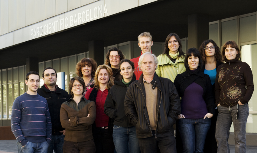 Caracterizada la estructura de un transportador de aminoácidos LAT