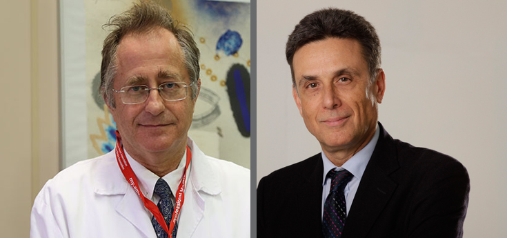 Descubren que la inhibición de las calpaínas limita la hipertrofia y remodelado miocárdico