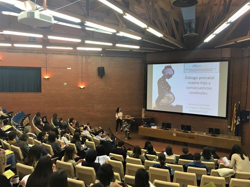 Curso