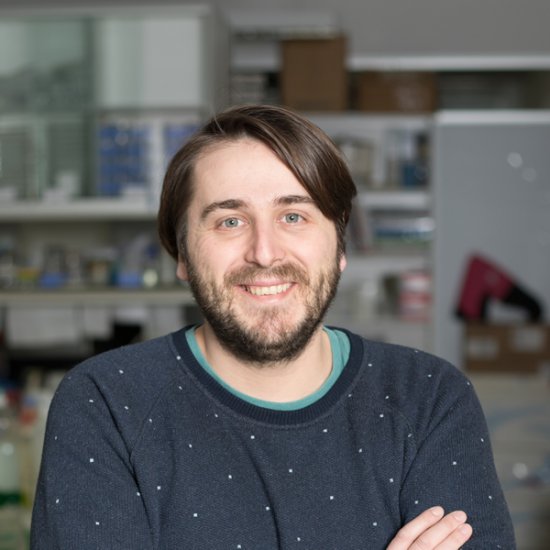 Desarrollan una nueva herramienta para ayudar al diseño de ensayos clínicos