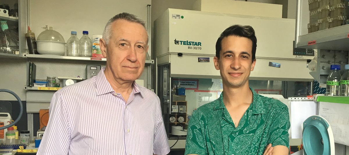 Proponen una terapia alternativa eficiente para combatir las infecciones neumocócicas