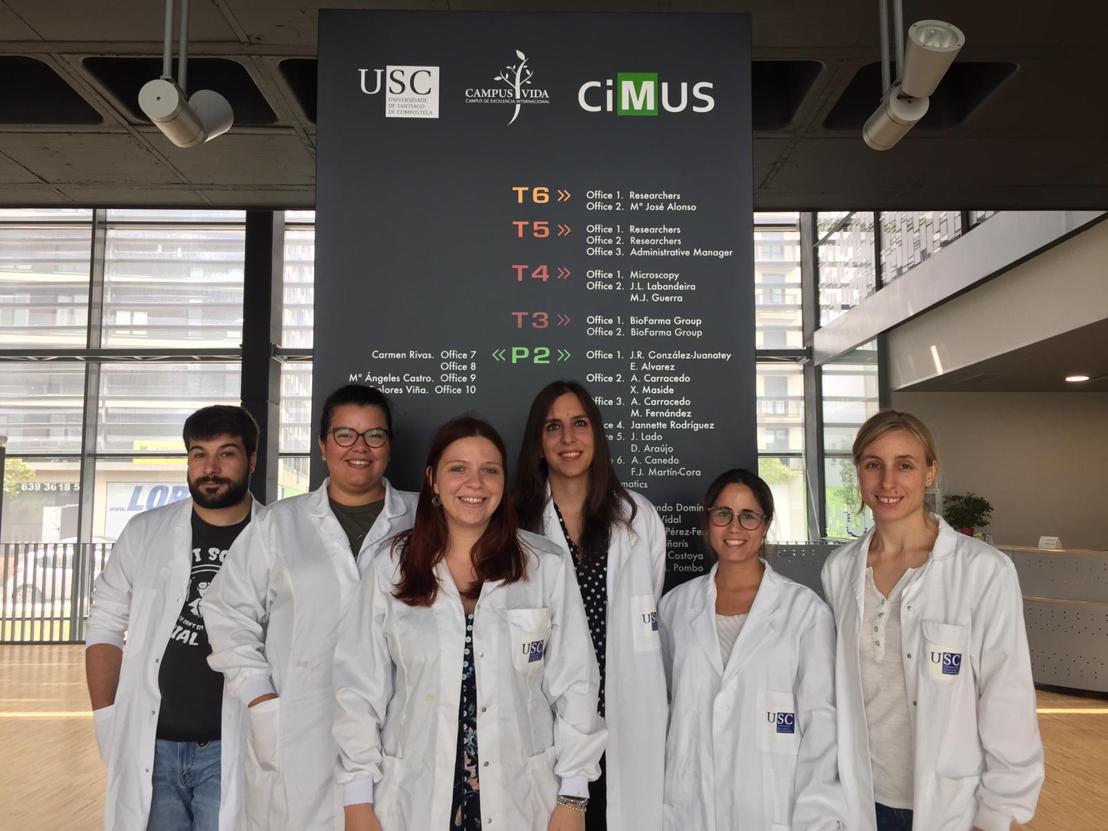 Descubren el mecanismo mediante el cual algunos fármacos disminuyen el peso