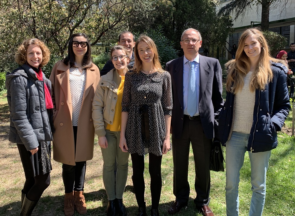 Descrita por primera vez la acción de la vitamina D sobre las células madre normales y cancerosas de colon