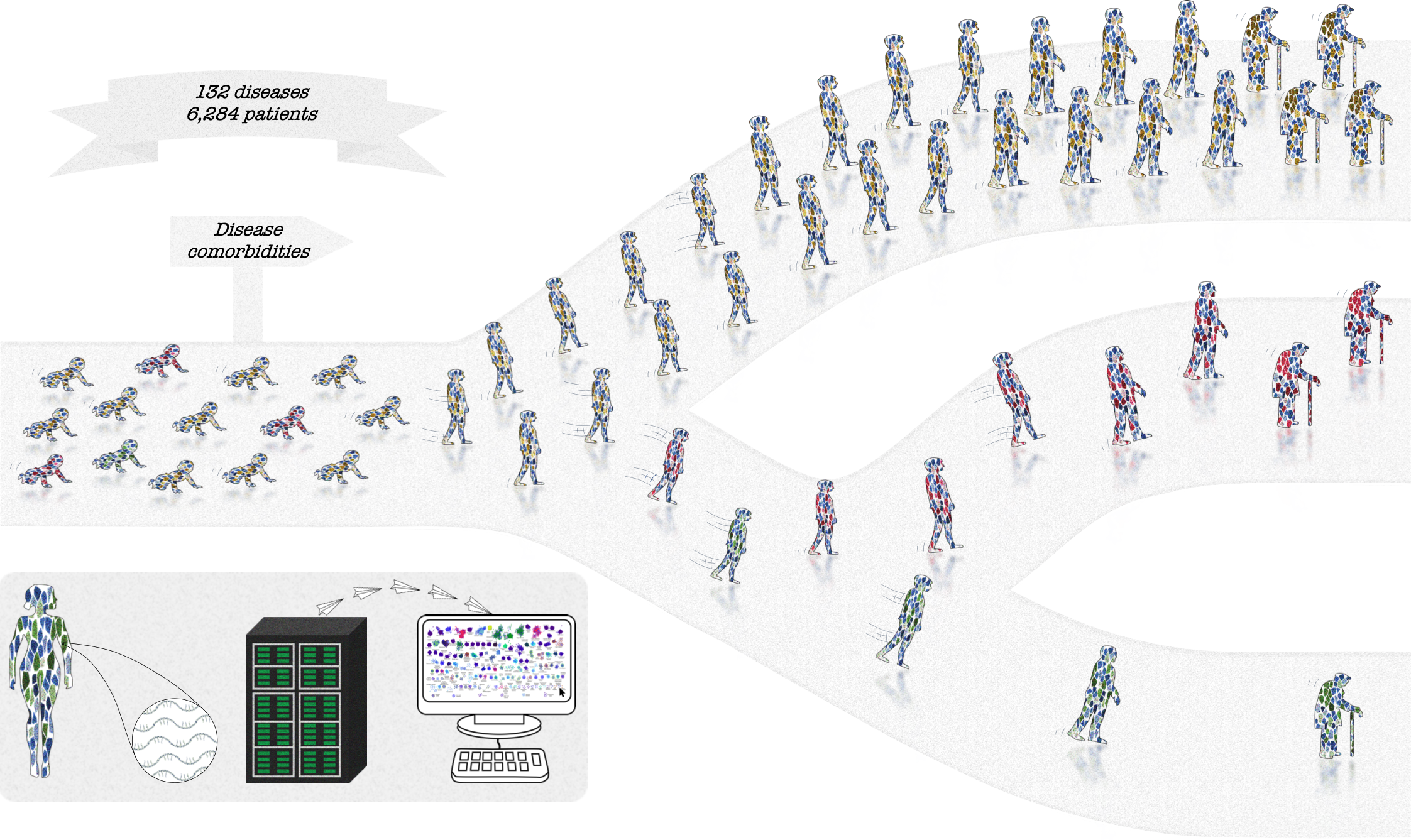 La expresión génica, clave en el estudio de las comorbilidades