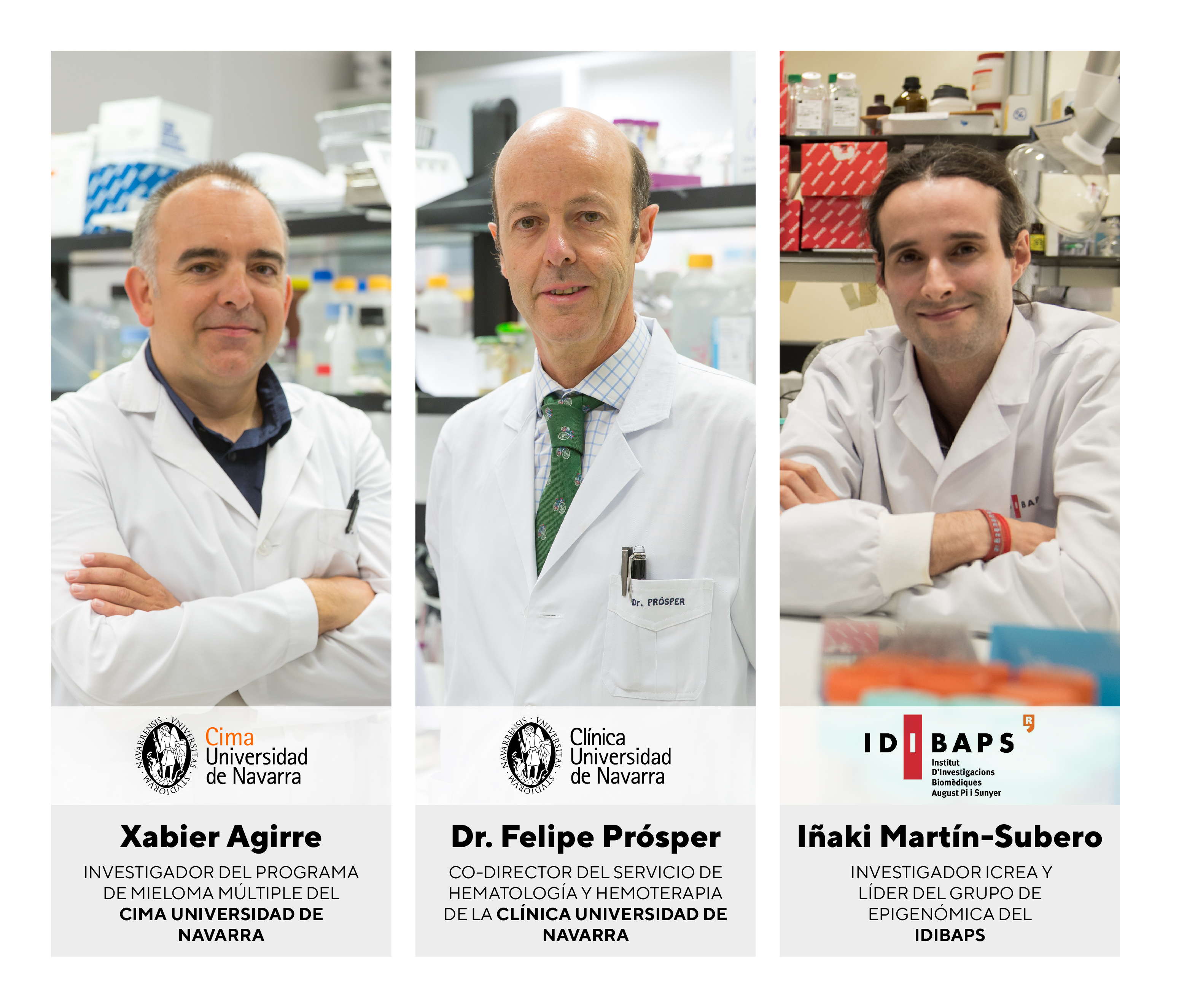 Descifran el epigenoma del mieloma múltiple y descubren un rasgo molecular común en los pacientes afectados