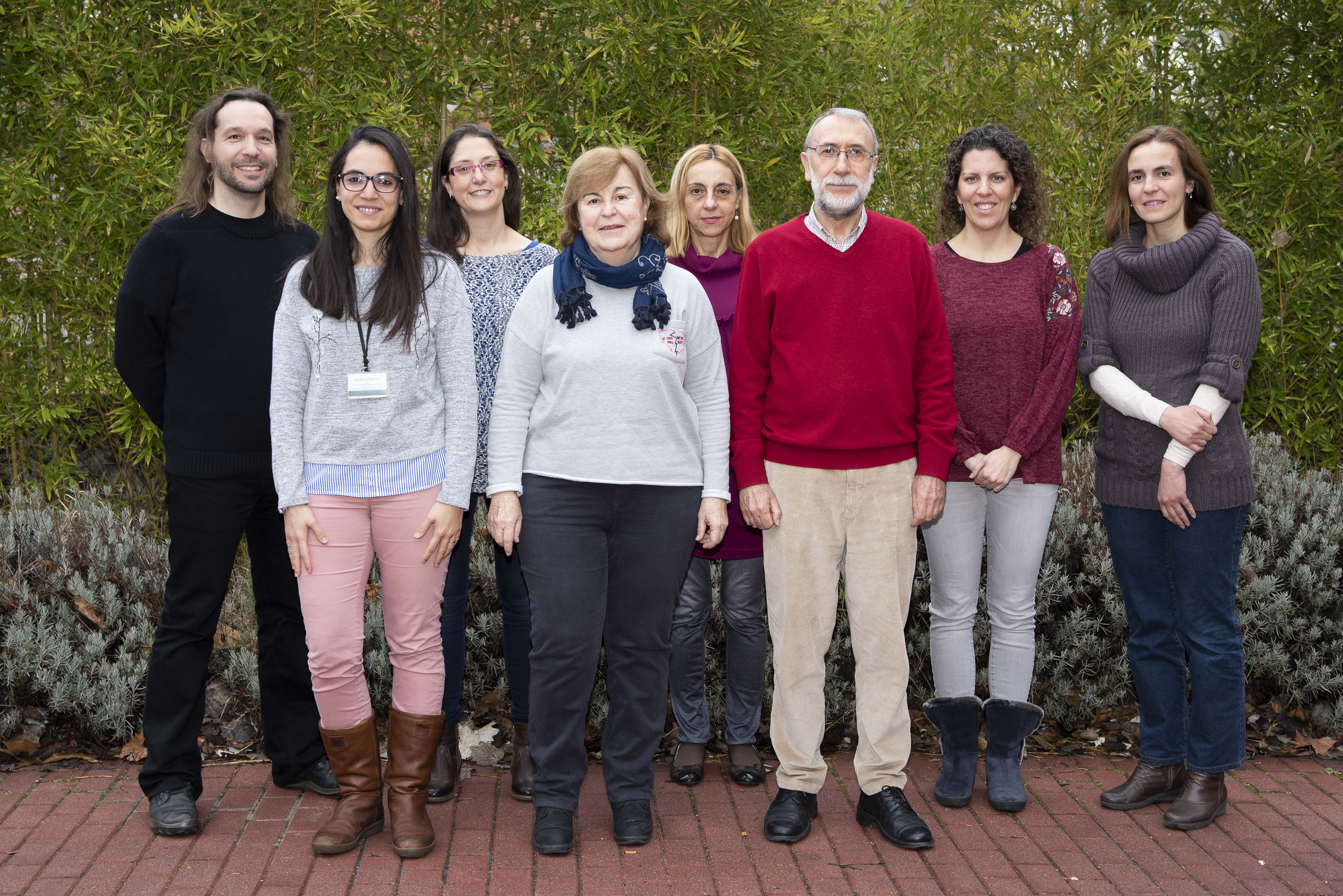 Identificada una nueva estrategia para el tratamiento del carcinoma renal de pacientes con VHL