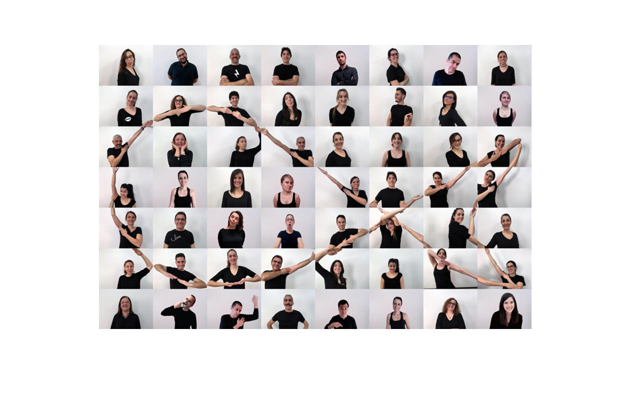 El modelo de pez cebra, de gran utilidad para estudiar enfermedades con componentes inflamatorios