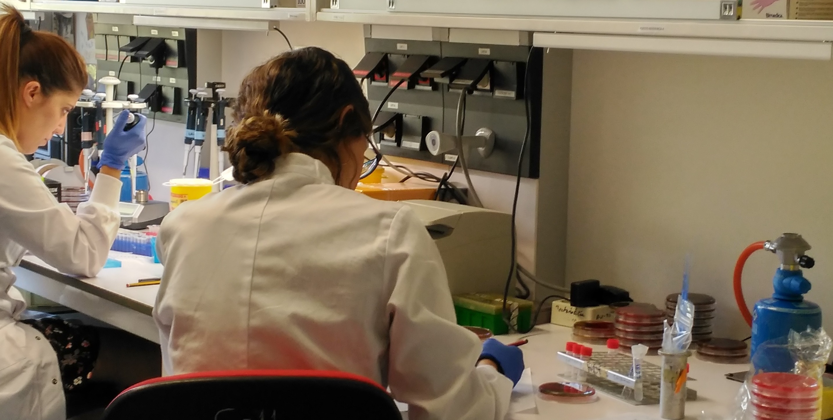 EL CIBER incorporará una nueva área de Enfermedades Infecciosas