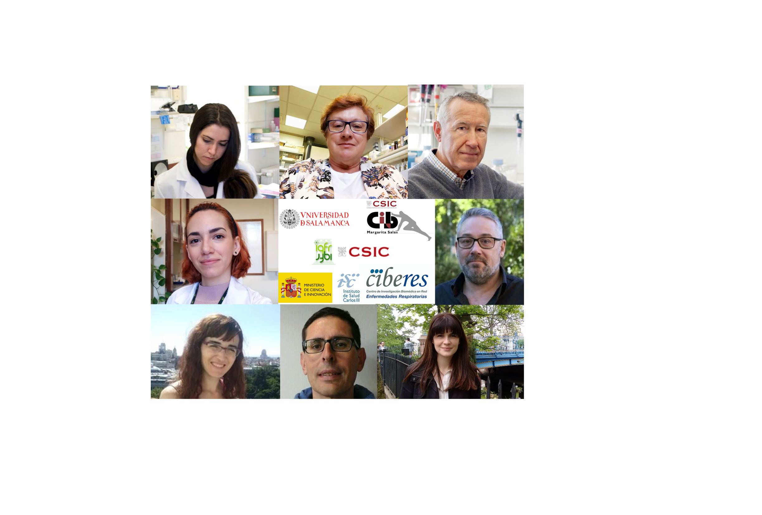 Caracterizan  dos endolisinas capaces de matar de forma eficiente y selectiva a Streptococcus pneumoniae