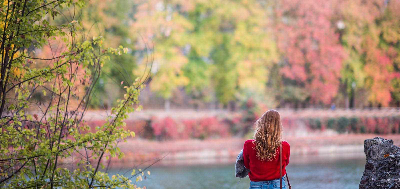 Vivir cerca de espacios verdes podría ser beneficioso contra los síntomas del síndrome premenstrual