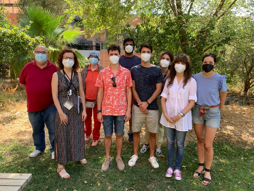 Un estudio revela el papel decisivo de la enzima PDK1 en la leucemia mieloide aguda