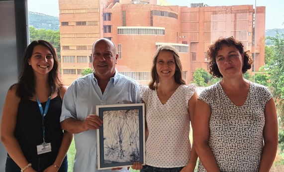 Identifican un nuevo modelo de desarrollo de la corteza cerebral ligado a la expresión de la proteína reelina Identifican un nuevo modelo de desarrollo de la corteza cerebral ligado a la expresión de la proteína reelina