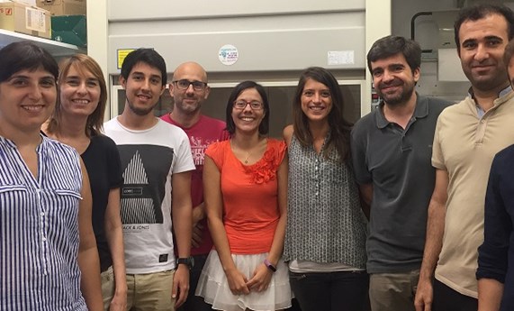 La citocina GDF15, una prometedora diana terapéutica contra la diabetes tipo 2 La citocina GDF15, una prometedora diana terapéutica contra la diabetes tipo 2