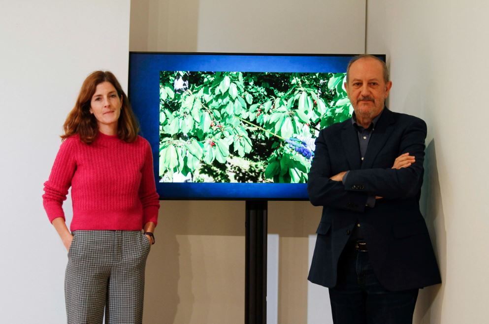 Un estudio durante 22 años encuentra asociación entre la exposición infantil a pesticidas y el adelanto en la pubertad