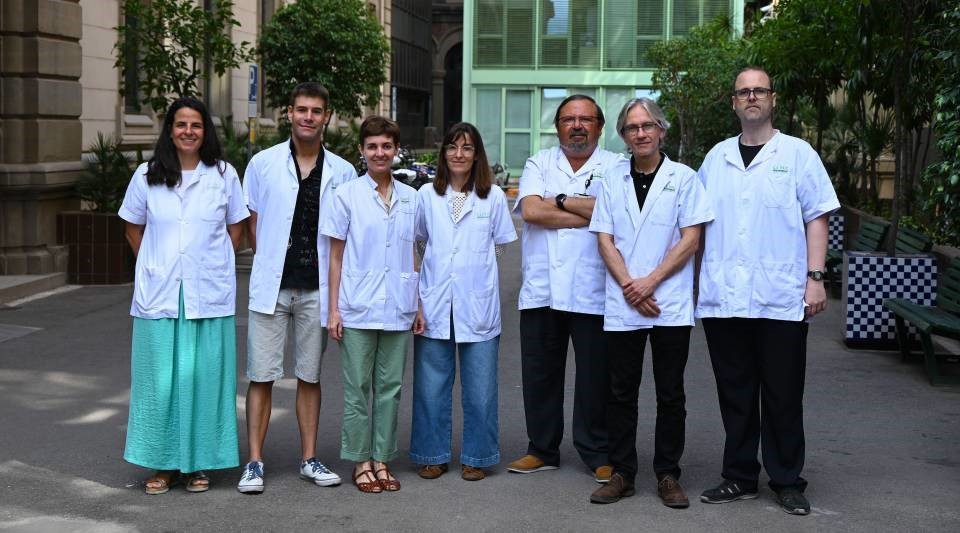 Describen una proteína implicada en la fibrosis hepática y la alteración de la función mitocondrial