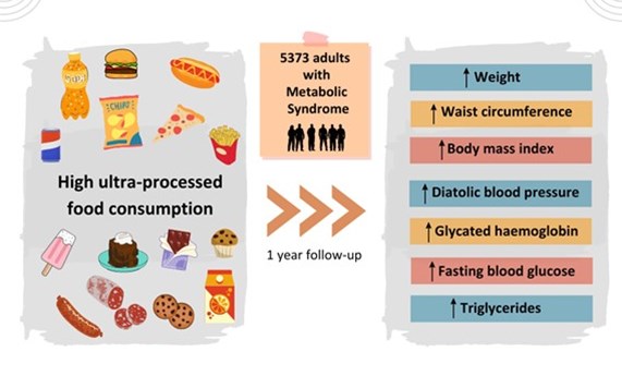 El consumo de alimentos ultraprocesados empeora los factores de riesgo cardiometabólicos El consumo de alimentos ultraprocesados empeora los factores de riesgo cardiometabólicos