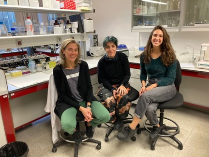 La Resolvina D2 podría ser la clave para prevenir y reparar el daño cardiovascular asociado a la hipertensión arterial