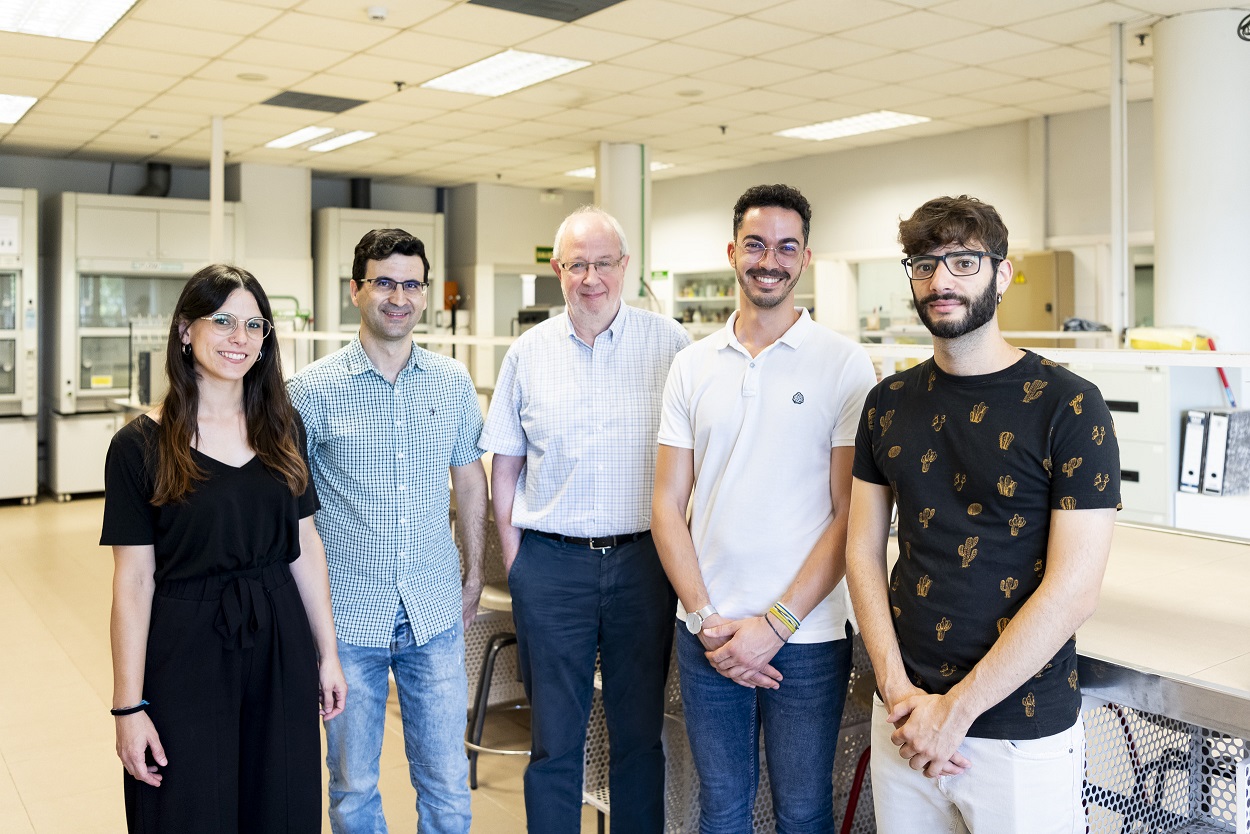 Desarrollan nuevas cajas moleculares para mejorar la efectividad y reducir la toxicidad de fármacos anticancerígenos