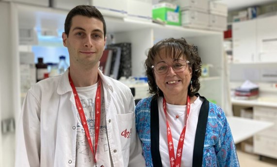 Acumulación de hierro y senescencia celular en la fibrosis hepática: nuevas perspectivas de tratamiento Acumulación de hierro y senescencia celular en la fibrosis hepática: nuevas perspectivas de tratamiento