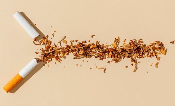 Una generación libre de tabaco evitaría más de un millón de muertes por cáncer de pulmón Una generación libre de tabaco evitaría más de un millón de muertes por cáncer de pulmón