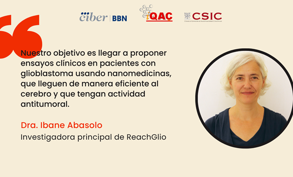 Nanotecnología para frenar el crecimiento de glioblastomas Nanotecnología para frenar el crecimiento de glioblastomas