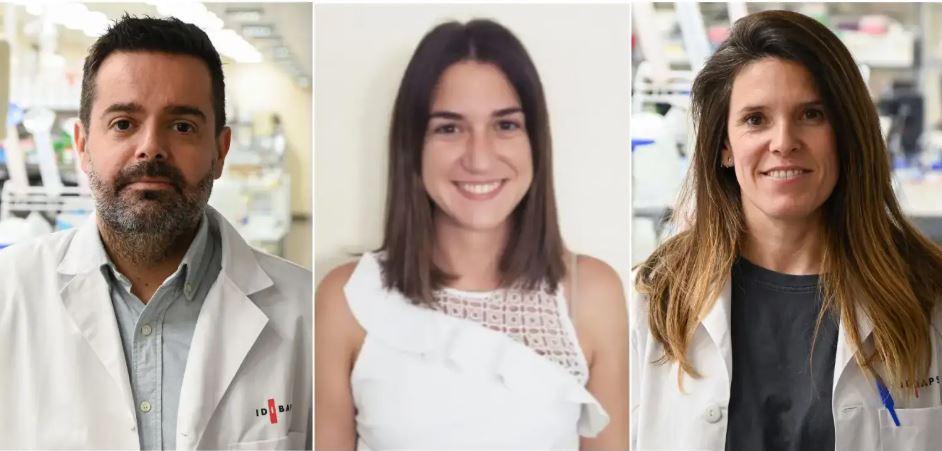 Detallan el papel de ciertos microARNs en el desarrollo de la cirrosis hepática