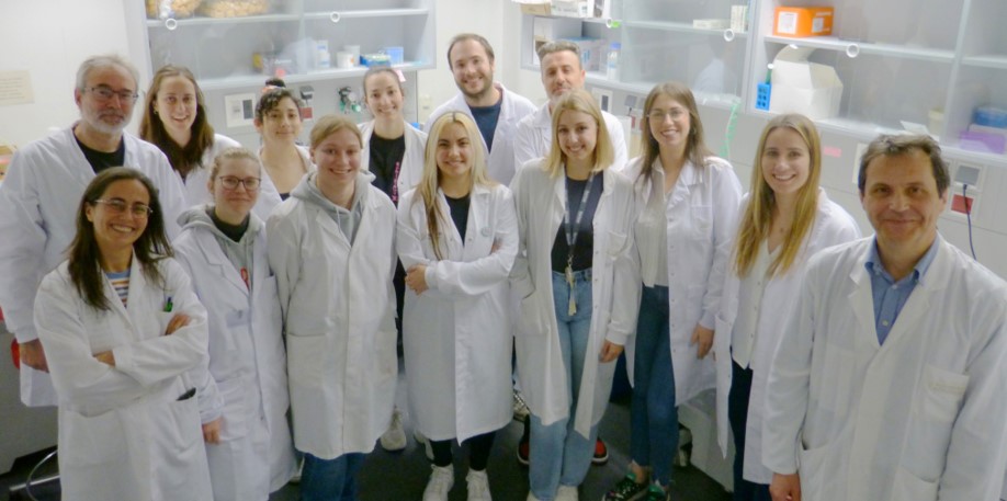 Un tratamiento experimental mejora la fuerza muscular y la rigidez de la distrofia miotónica tipo 1