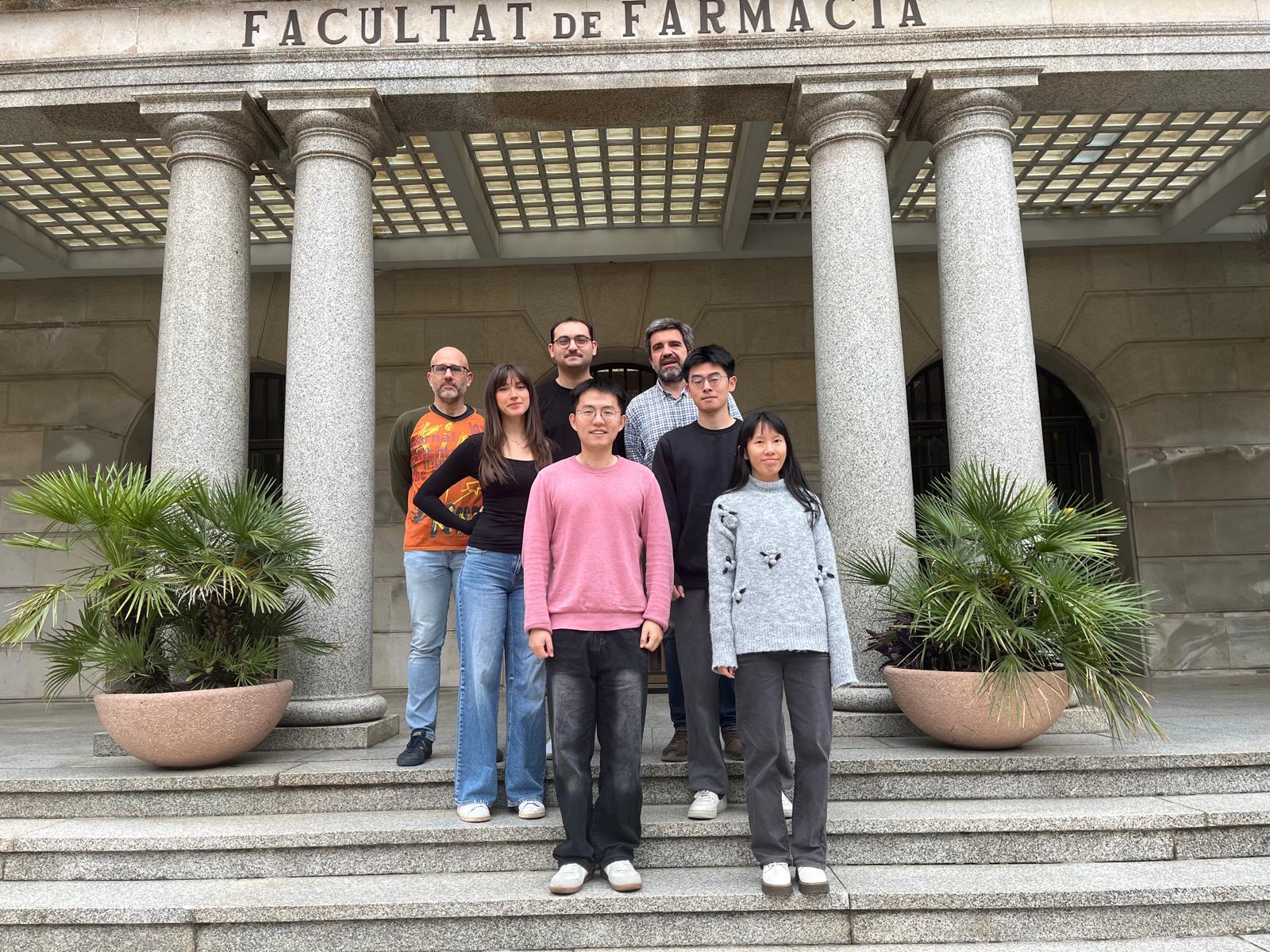 Calidad vs cantidad de la grasa en la dieta: cómo influyen el ácido oleico y palmítico en el desarrollo de la diabetes tipo 2