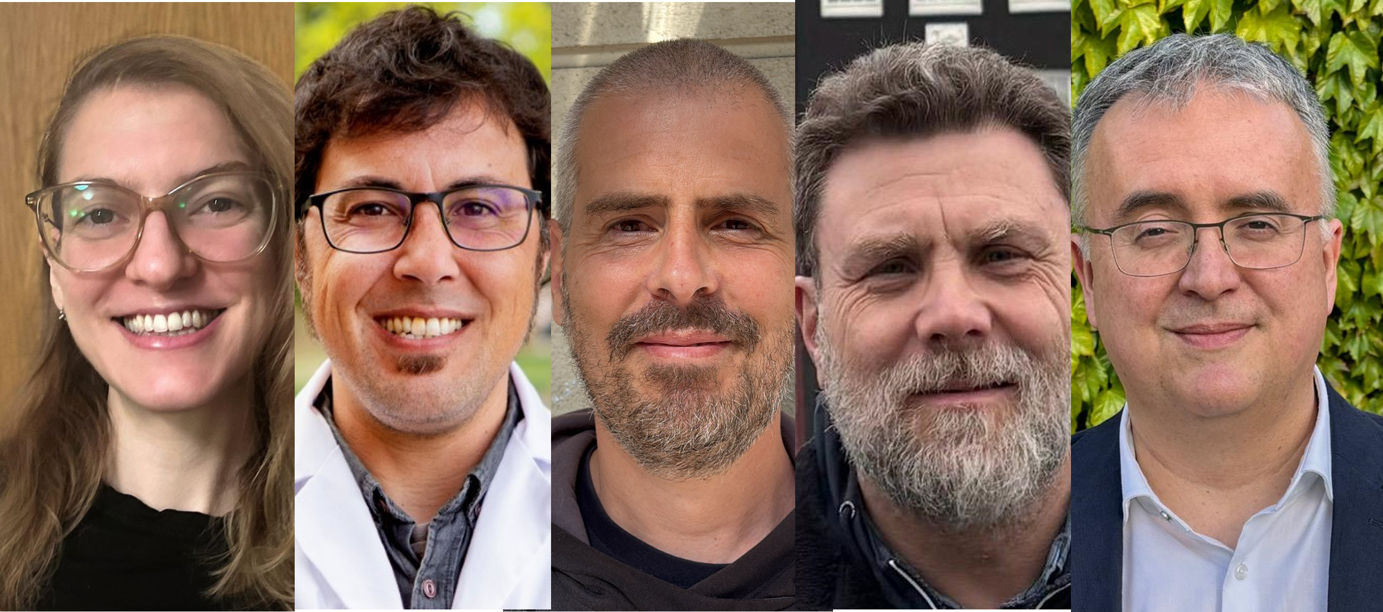 Un estudio explica por qué los pacientes mayores de 70 años fueron más vulnerables a la COVID-19 en la primera ola