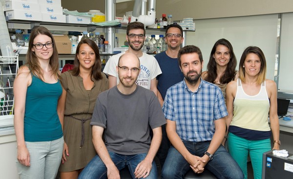 Investigadores del CIBEREHD reciben el premio a la mejor comunicación en Gastroenterología básica del Congreso de la SEPD