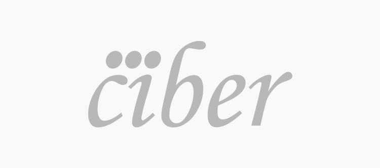 El CIBER pone en marcha tres proyectos de excelencia interdisciplinares financiados con casi 2 millones de euros por la AES