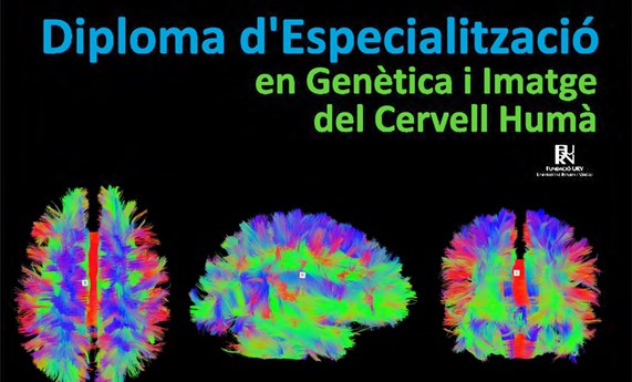 Diploma de Especialització en Genètica i Imatge del Cervell Humà