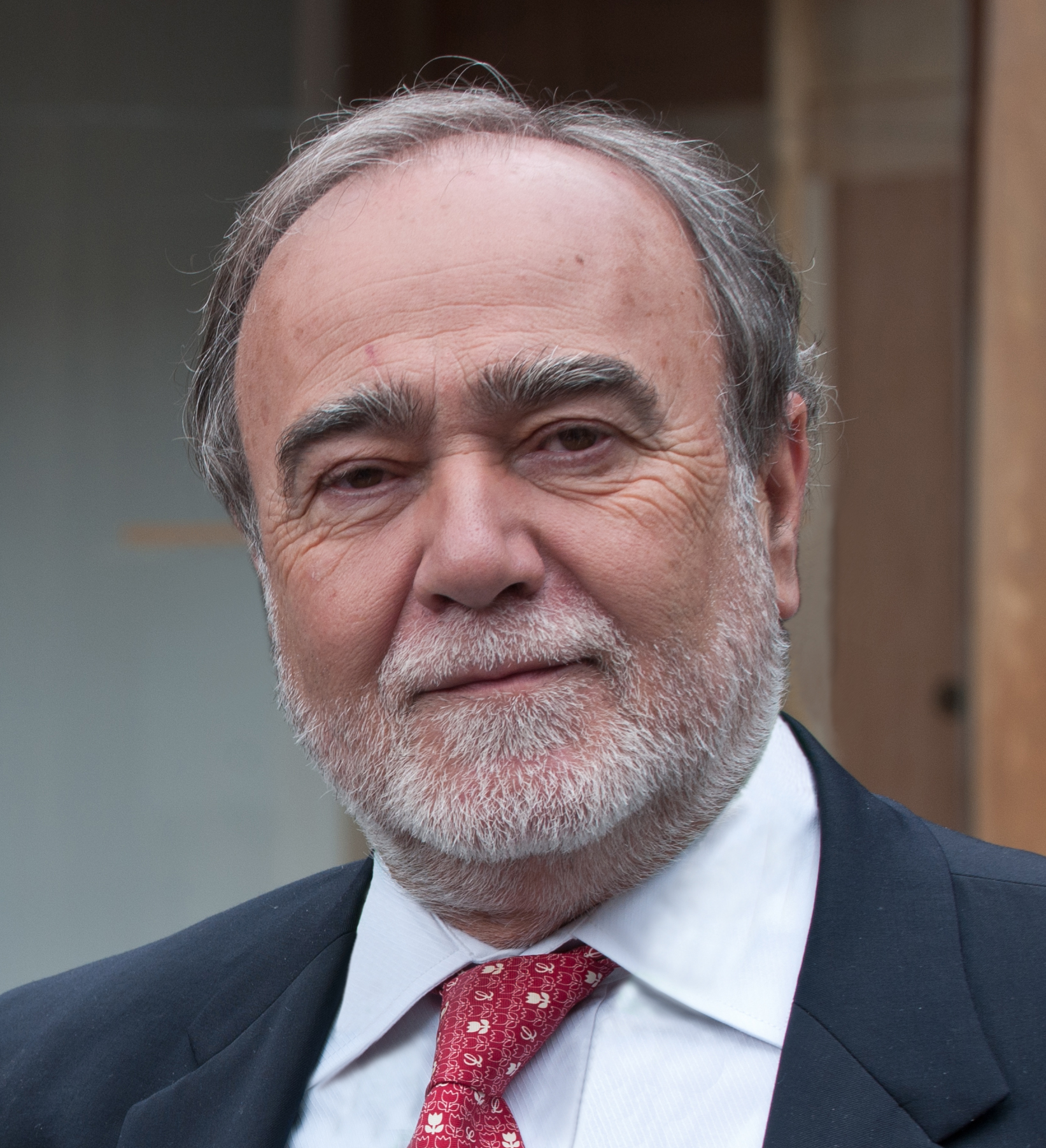 Julio Bobes, presidente de la Academia de Medicina del Principado