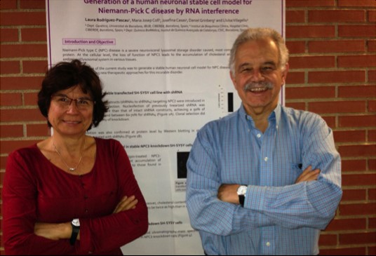 Muestran que el colesterol tiene un papel clave en la migración celular con cultivos celulares de una enfermedad rara