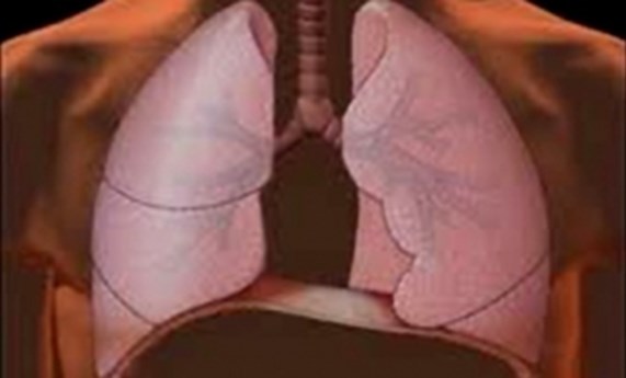 II Ayuda a Proyectos colaborativos multidisciplinares de transferencia tecnológica en patologías respiratorias CIBER-BBN-CIBERES-SEPAR II Ayuda a Proyectos colaborativos multidisciplinares de transferencia tecnológica en patologías respiratorias CIBER-BBN-CIBERES-SEPAR