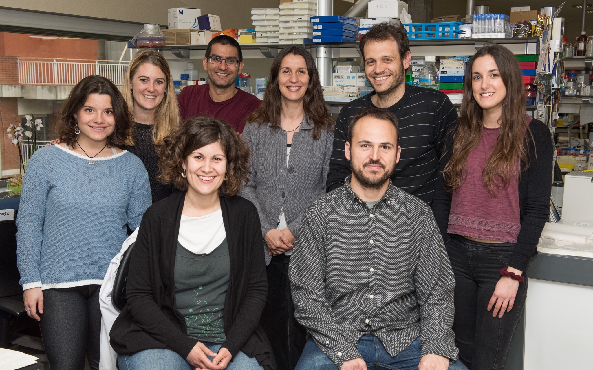 Descubren un nuevo mecanismo responsable de la formación de vasos anómalos en la cirrosis