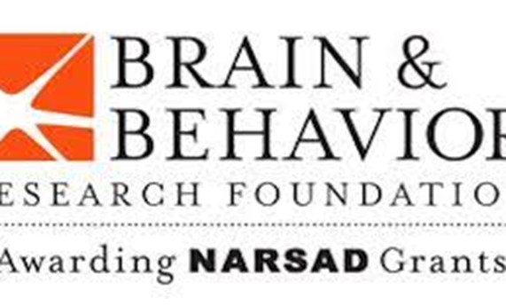 Rafael Penadés,  obtiene una ayuda de la Brain and Behavior Research Foundation