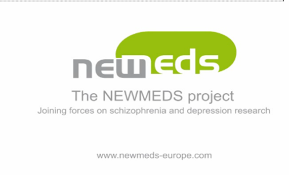 NEWMEDS ha unido a instituciones académicas y empresas farmacéuticas en la búsqueda de nuevos fármacos para esquizofrenia y depresión