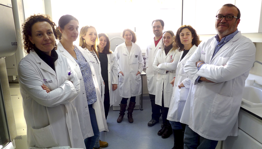 Descubren dos marcadores ligados a la permeabilidad epitelial en el intestino irritable