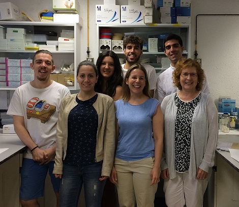 Nueva técnica para medir la actividad del tejido adiposo marrón, un órgano clave en el desarrollo de la obesidad