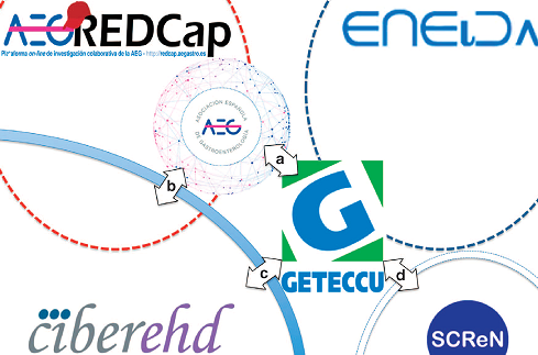 Un artículo destaca la importancia de la investigación colaborativa  en las redes españolas de gastroenterología